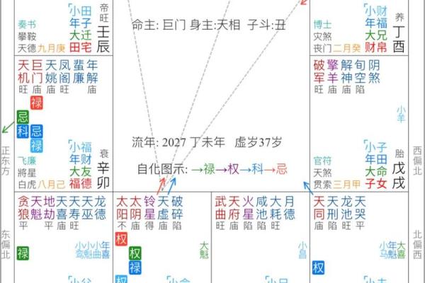 56岁属什么命：细解人生运势与命理智慧