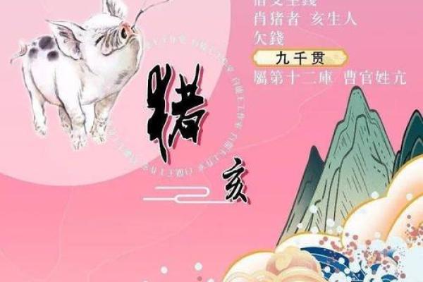 2019年属猪人各月命理分析：探寻四季运势与人生轨迹