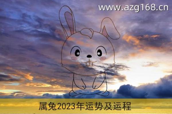 揭秘1999年兔年命运，如何在生活中把握机会与挑战