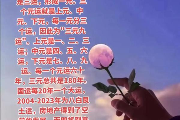 剖析91年阴历命运：你的生肖和命格究竟隐藏着什么秘密？