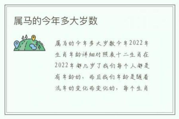 90年属相解析：属马人的命运与性格特征揭秘