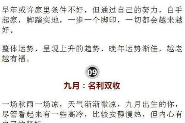 命运之轮：探索与“命”相关的成语世界