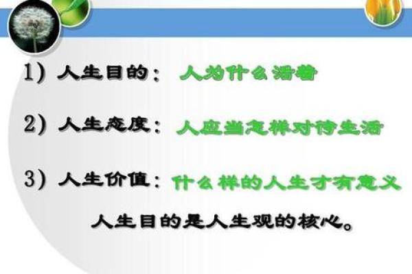 金命人生：如何选择适合自己的发展方向？