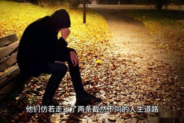 揭秘食神命：他们的命运与人生轨迹