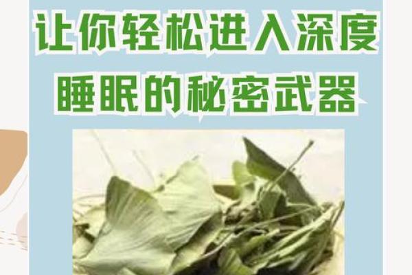 揭开两命银狼的武器之谜：探索其背后的秘密与传说