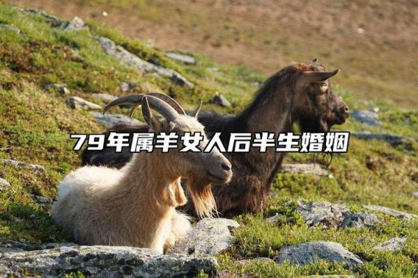 解码1979年属羊之人：婚配与命运的完美结合