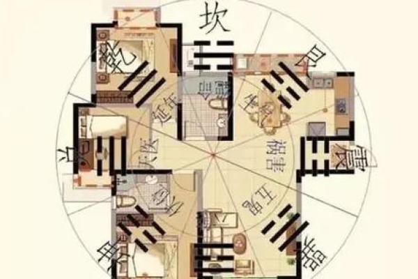 水命者的家居风水：适合的颜色与装饰建议