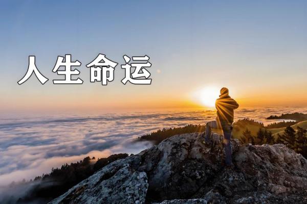 探索命主运势的最佳软件，让你未来更加明朗！