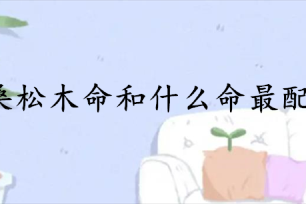 金命者的生活指南：如何提升运势与健康心态