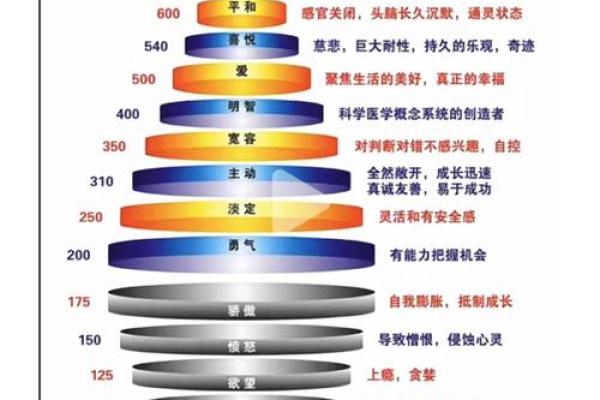 命不由已的生活与神秘邪术的启示
