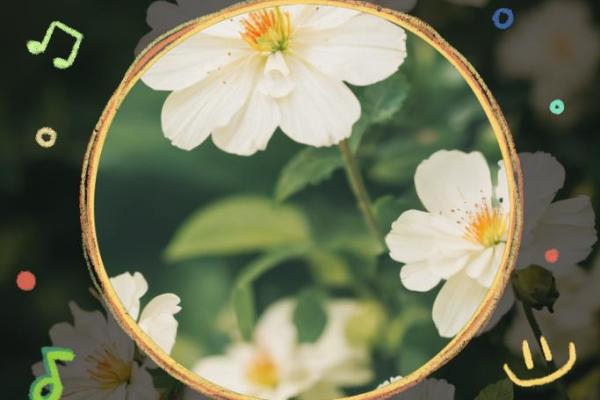 07年正月十四的命运轨迹：人生的转折与启示