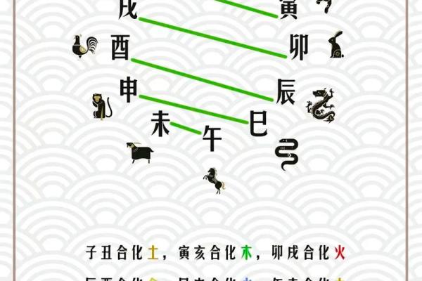 1955年出生的个体命运解读：人生哲学与性格特征的探寻