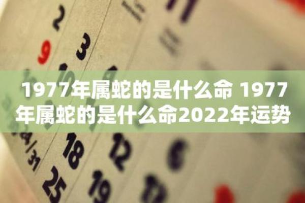 1997年出生的命运解析：揭开“火命”与“土命”的神秘面纱