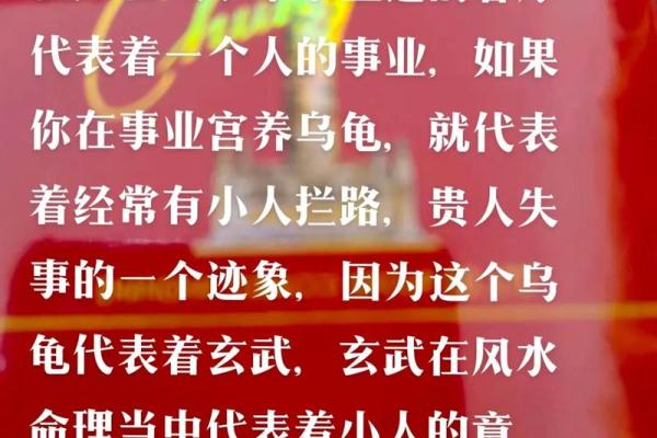 探秘年命临玄武的深厚文化象征与命理智慧
