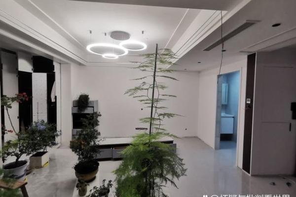 大林木命与相克元素：如何找到和谐之道