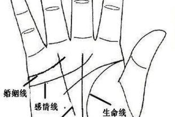 男命缺水，选择何种画作提升运势？