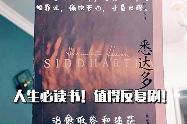 巧用命理补救：探索人生缺失的能量与解决之道