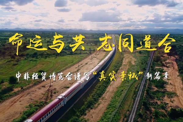 1940年出生的人：命运与人生的精彩篇章