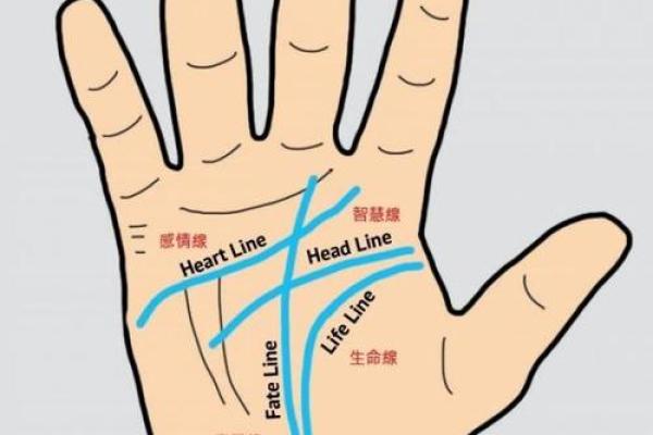 探索命运：手掌中的秘密与人生轨迹