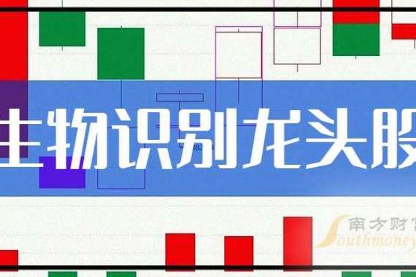 富贵命的秘密：如何识别你命中的财富机会