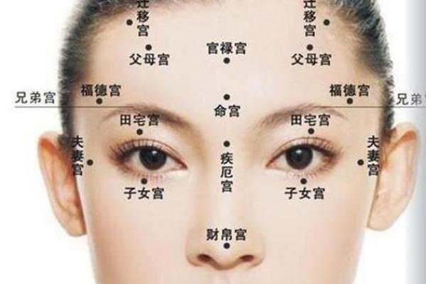 解密女命面相：洞察人中之谜与命运的联系