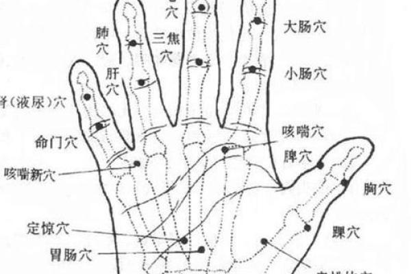 手指细长指尖粗大的命运解析：指纹背后的性格与运势