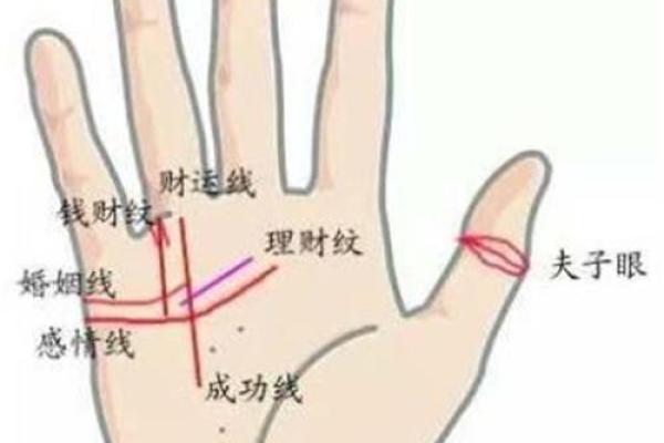 火牛命的命理解析与适合配饰推荐