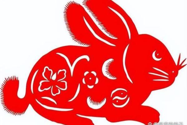 懒命的背后：为何属相影响懒人的命运？