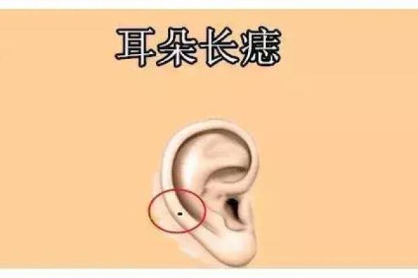 耳朵大往前照，揭示你隐藏的命运秘密！