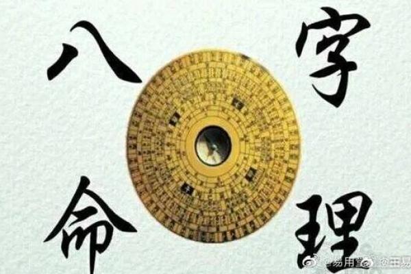 木命与数字的奇妙搭配：提升运势的秘密