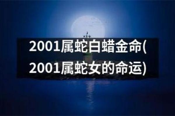 1984年属鼠的金命人生探秘：从五行角度看命运与性格