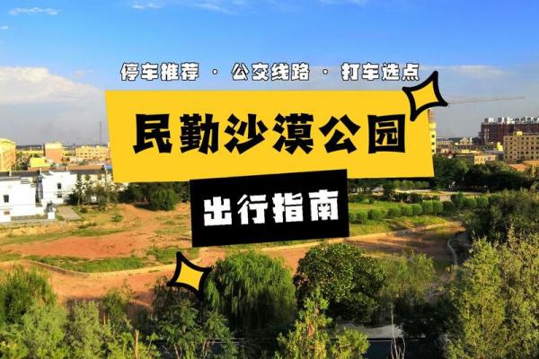 木命在东方的神秘与适应：探索自然与命理的奇妙结合