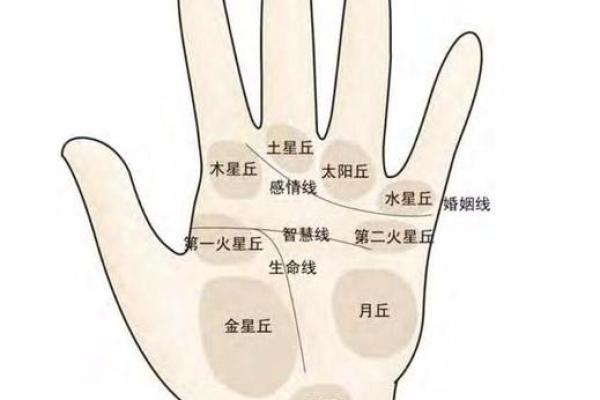 手相揭秘：手指粗细与命运的微妙关系