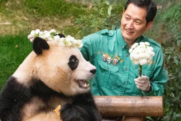 彩虹的秘密：它在命理中象征着幸福、希望与转变