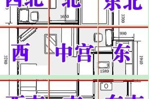 探寻饿金命的家居布局：最适合的楼层推荐与解析
