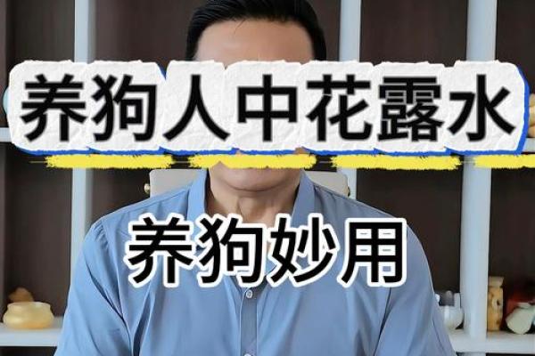 不同命格的人为何不宜养狗？揭秘其中的奥秘！