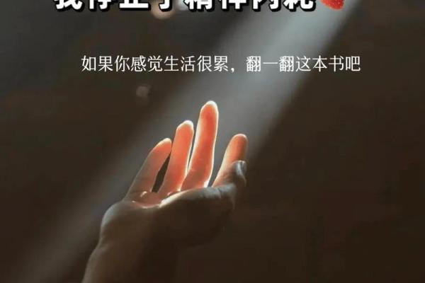 探寻胎死腹中的女人命运之谜：一段不为人知的心灵旅程