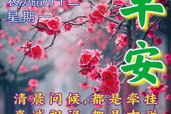 桑枝木命的佩戴建议：助你提升运势与福气的饰品推荐