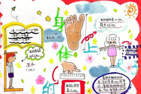 揭开占星紫薇命盘的神秘面纱：探索命运与自我的奥秘