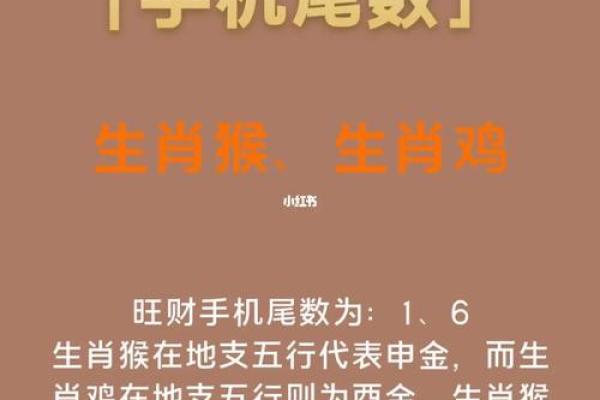 深入解析农历18属相命理，让你更了解自己的命运轨迹！
