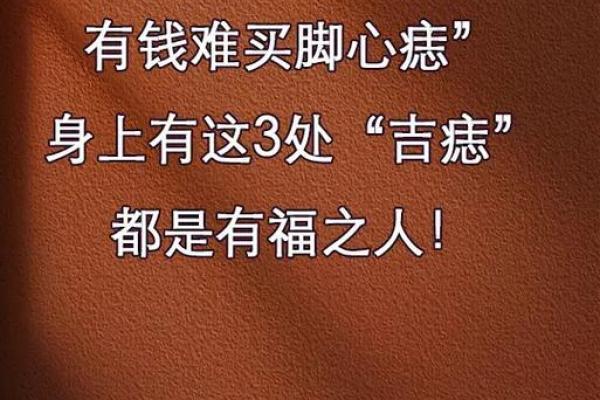 深入解析农历18属相命理，让你更了解自己的命运轨迹！