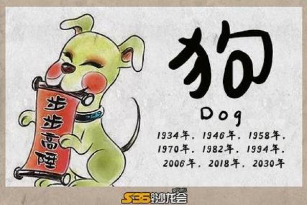 解析属狗医生的命运：生命的热忱与职业的坚持