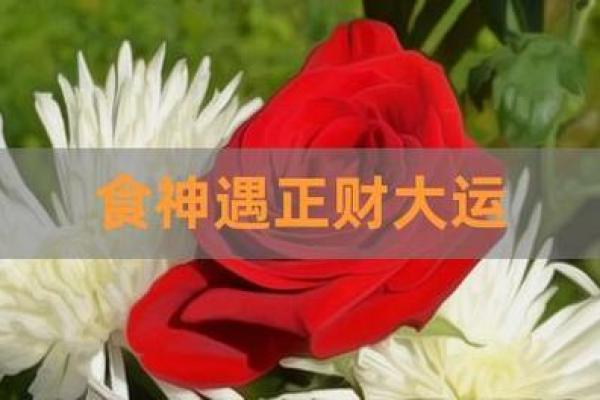 食神男命适合做哪些生意？解密成功创业法则！