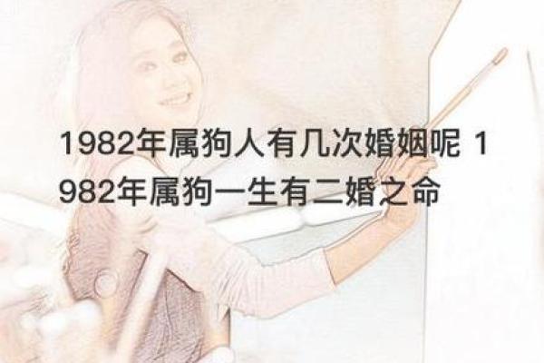 解析属狗医生的命运：生命的热忱与职业的坚持