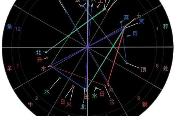 从命盘中的主星看你的生肖，揭示运势与性格奥秘