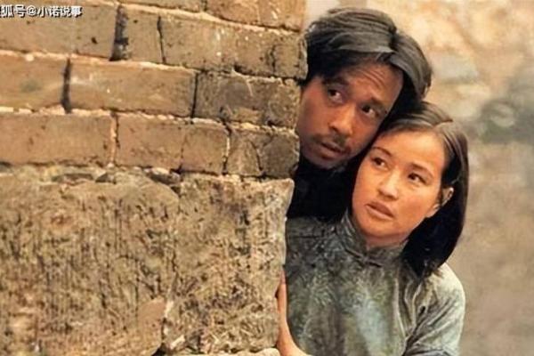 《这就是命》：探索人生的微妙转折与选择之美