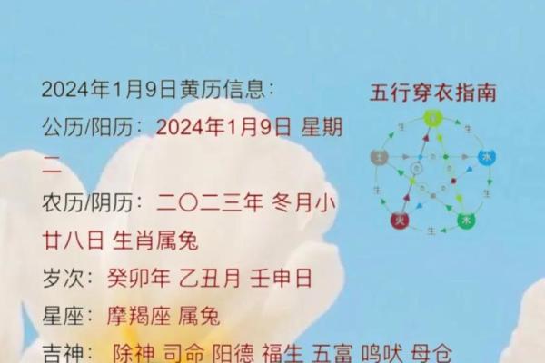 85岁生肖命解析：八旬老人如何以智慧走过人生风雨