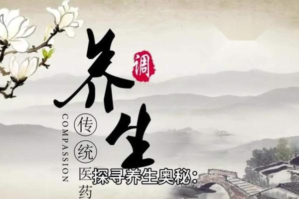 探寻一九三零零六年命运的奥秘与智慧