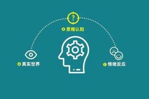 命的组成：探索命运与生活的诸多奥秘