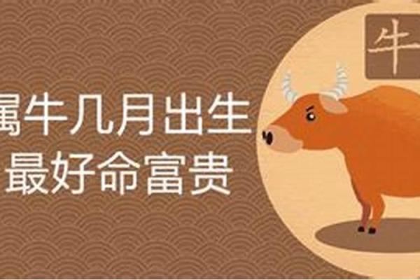 牛年出生6月的命运解析：性格、事业与爱情的多重面貌
